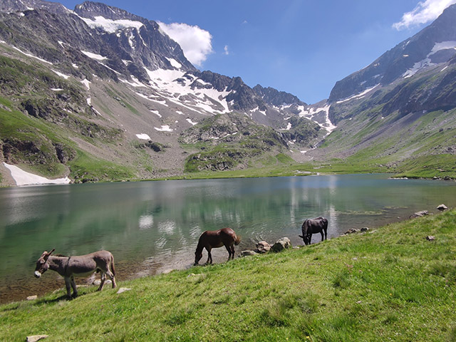 lac muzelle isere