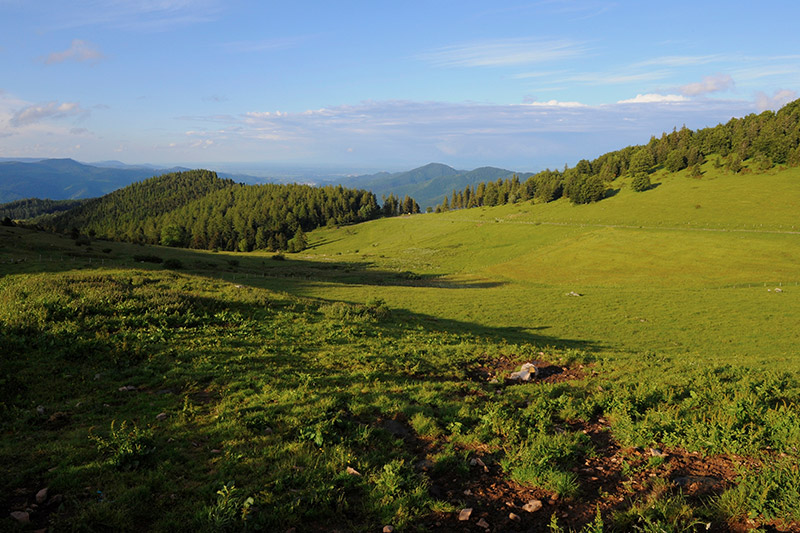 paysage de montagne - ballon alsace